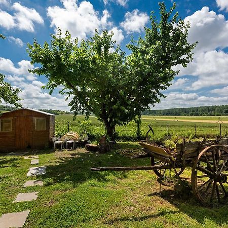 Domaine Du Bois Des Anges Bed & Breakfast Germigny-l'Eveque Exterior foto