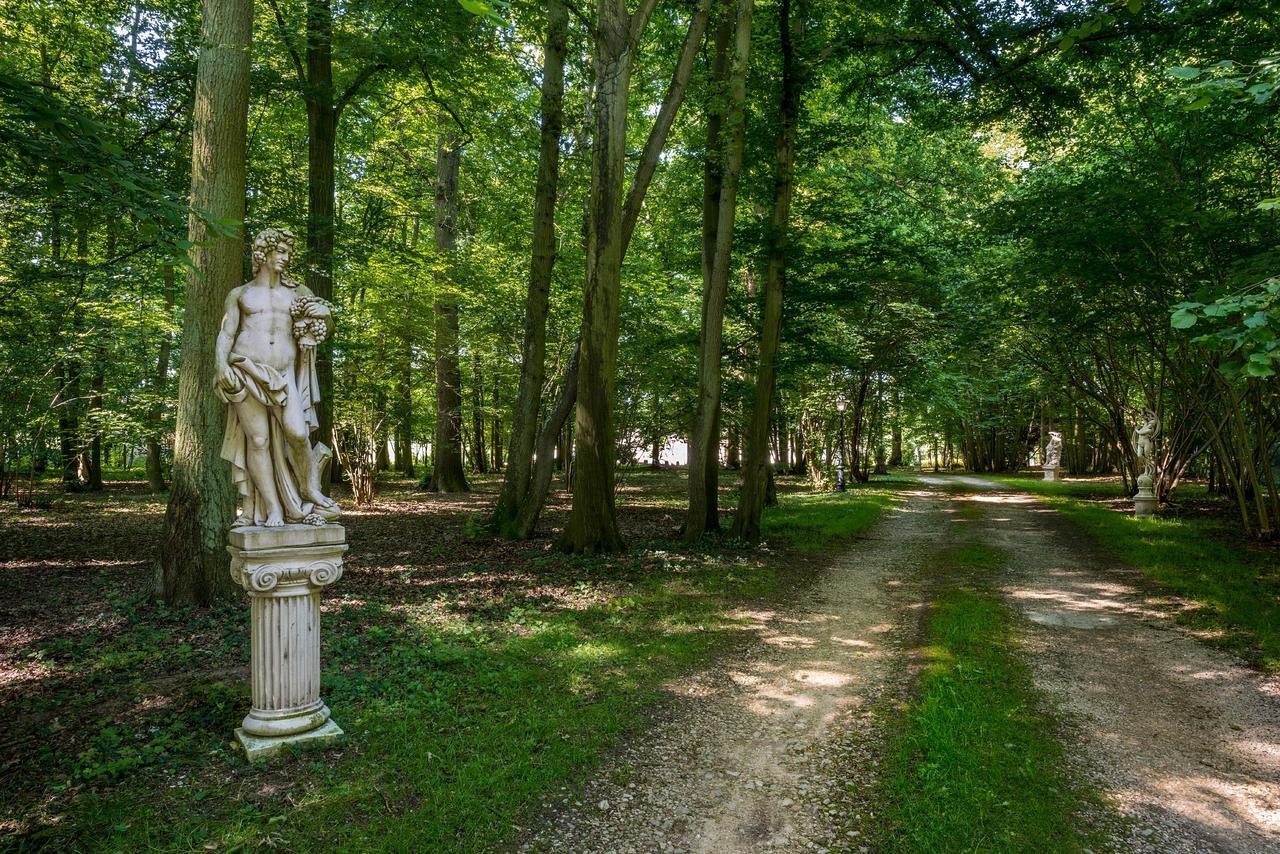 Domaine Du Bois Des Anges Bed & Breakfast Germigny-l'Eveque Exterior foto