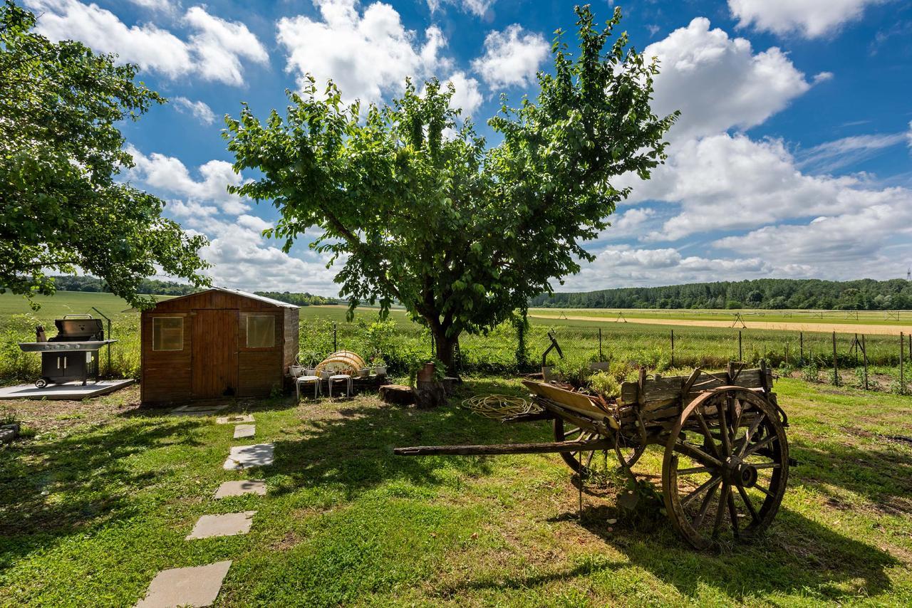 Domaine Du Bois Des Anges Bed & Breakfast Germigny-l'Eveque Exterior foto
